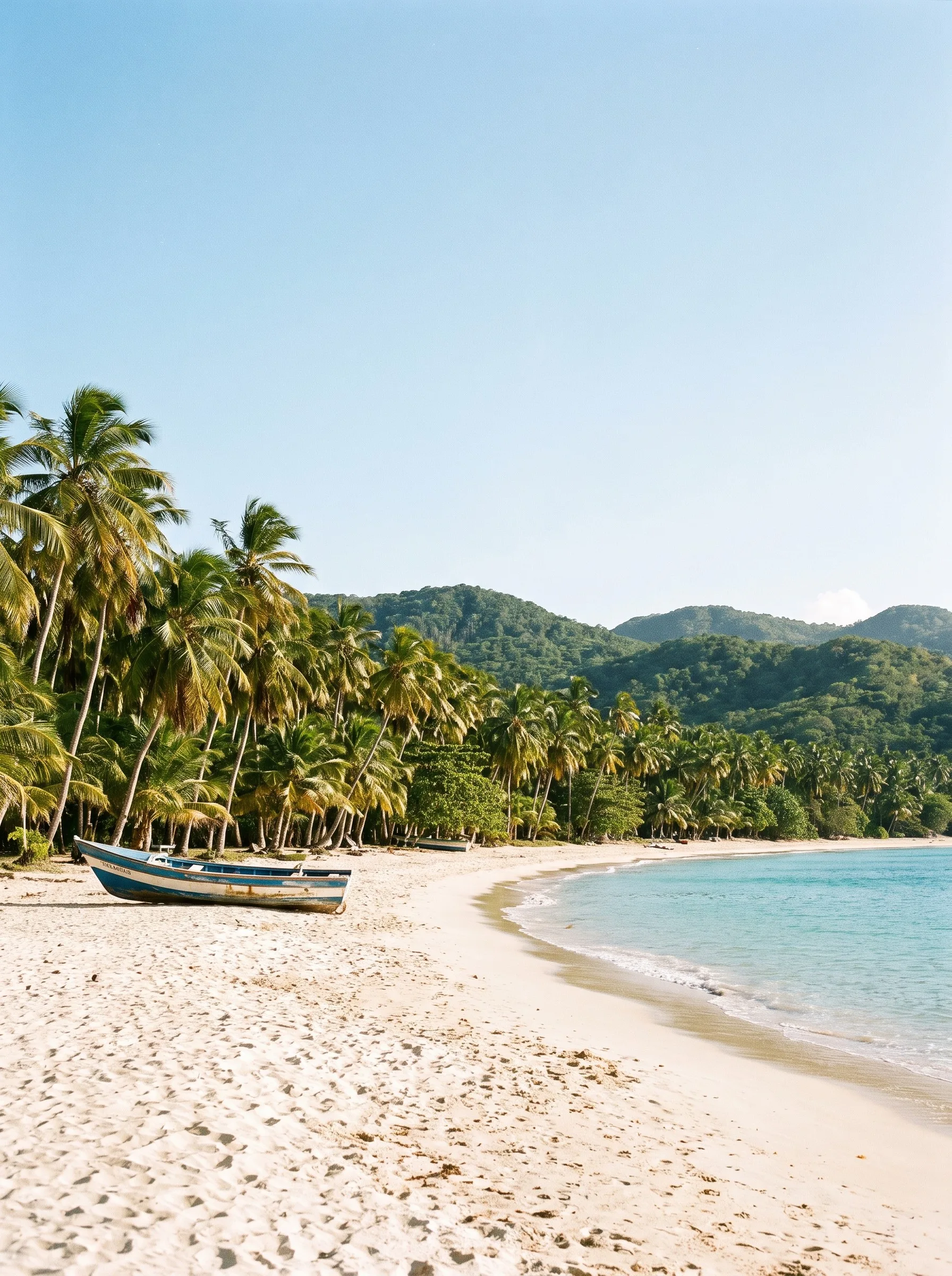 Wooden boats on a palm-lined white-sand beach in the Dominican Republic