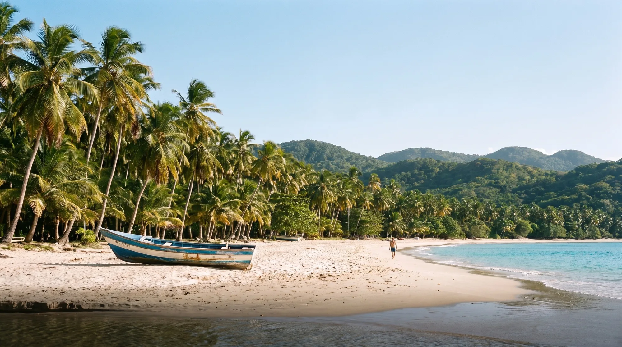 A long white-sand beach lined with coconut palms and green hills